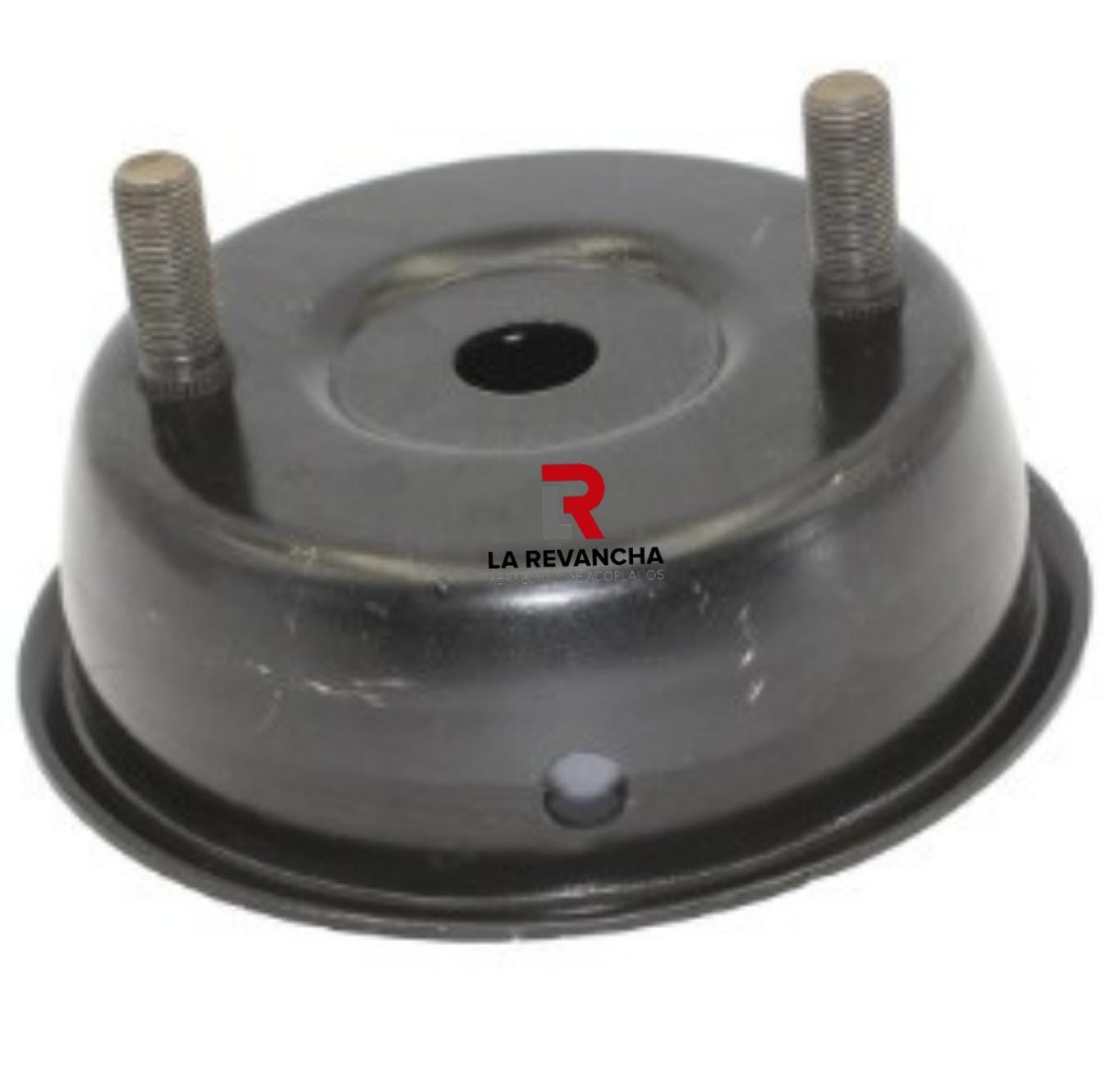Tapa de Pulmon 30 8''
